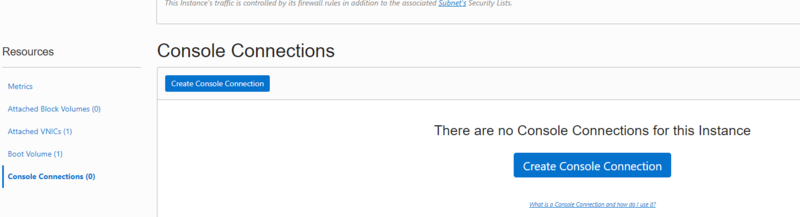 oracle-ci-vm-deets.png