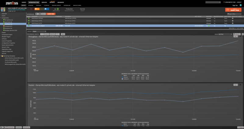 zenpack-windows_interfaces.png